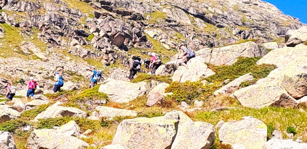 Mittagsrast oberhalb der Bovalhütte (2'495 m) - 26.08.2025, Rosa
