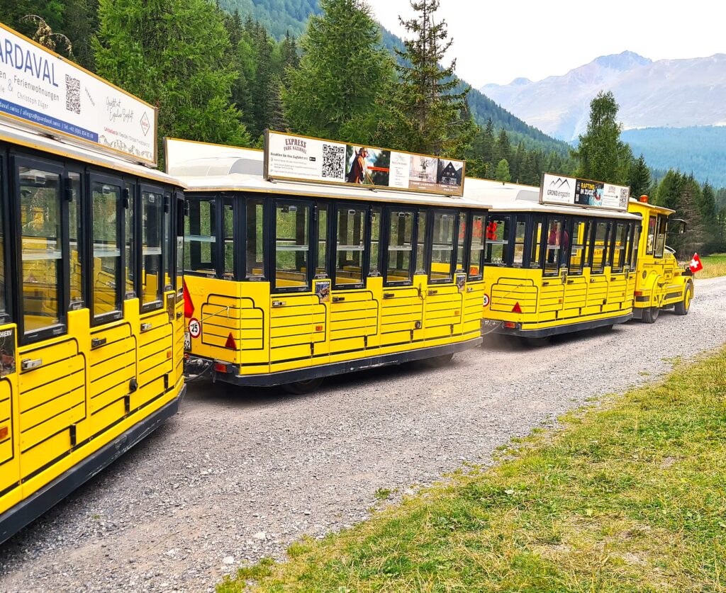 Mit dem Alpintrans fahren wir zurück zum Bahnhof S-chanf. Ein abwechslungsreicher Tag im Nationalpark der Schweiz geht zu Ende. - 27.08.2025, Erika