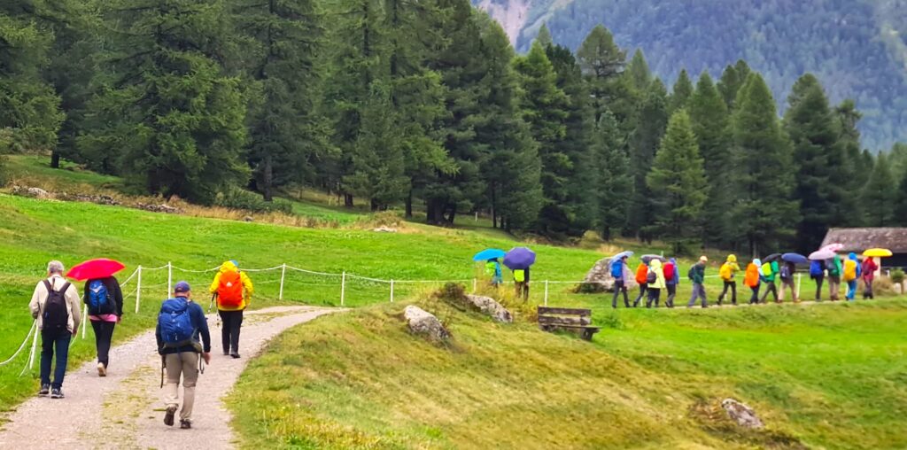 Frisch gestärkt und gut gelaunt auf dem Rückweg nach Bever, gegen Ende der Wanderstrecke von nur leichtem Regen begleitet. - 29.08.2025, Erika