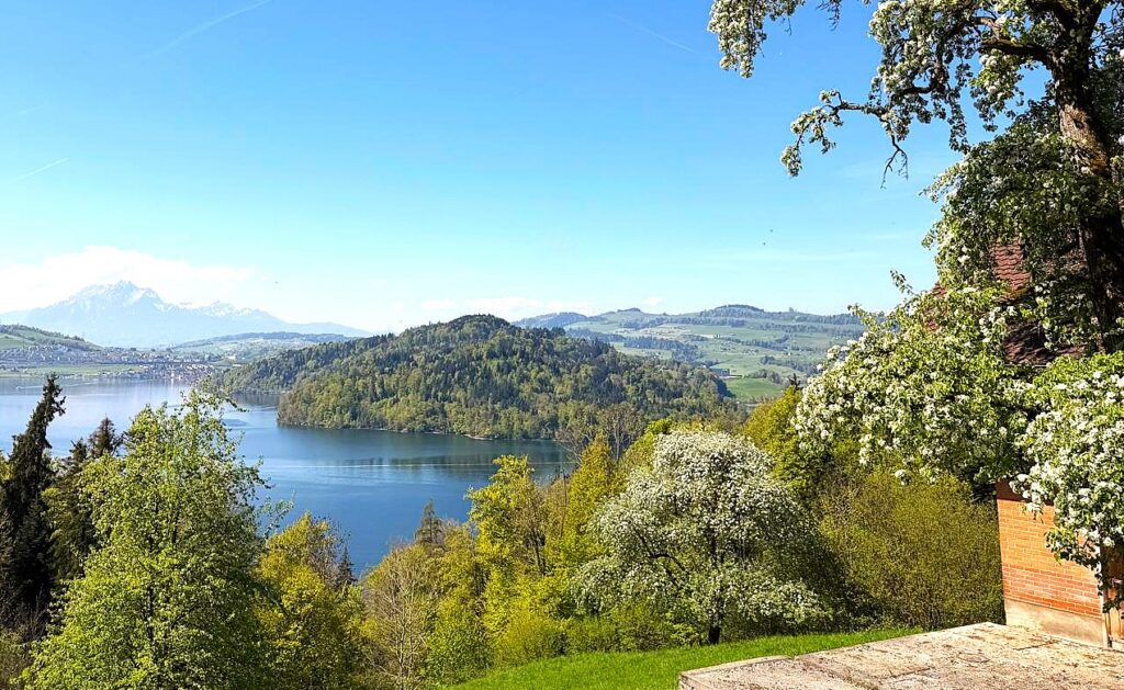 Wunderschöne Landschaft zwischen Walchwil und Zug mit Blick auf den See, die Halbinsel Chiemen sowie Richtung Arth mit Pilatus im Hintergrund - 18.04.2026