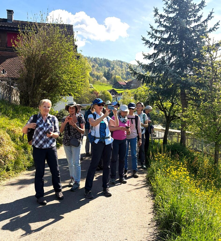 aussichtsreicher Fotohalt - 18.04.2026