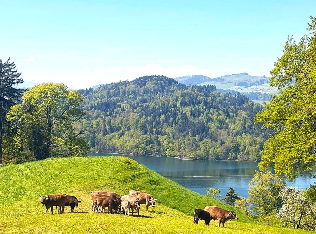 Einfach Natur pur..... - 18.04.2026