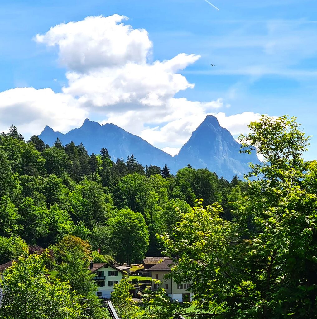 So viel herrliches Grün im Park mit Aussicht Richtung Mythen - 21.05.2026