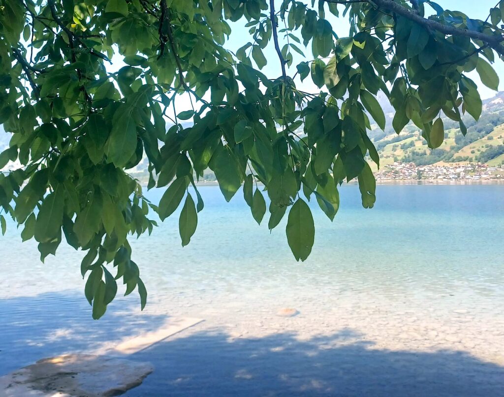 herrliches Pfingstwetter am Sarnersee - 25.05.2026