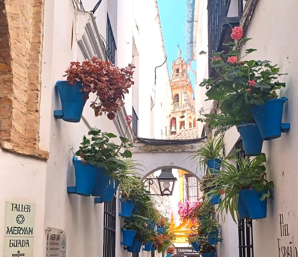 Córdoba: Hübsche Innenstadt mit blumengeschmückten Wandtöpfen - 09.06.2026