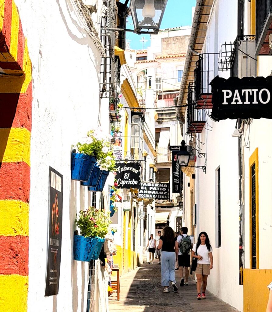 Córdoba: Schmales Gässchen und Häuser mit einladenden Innenhöfen (Patio) - 09.06.2026