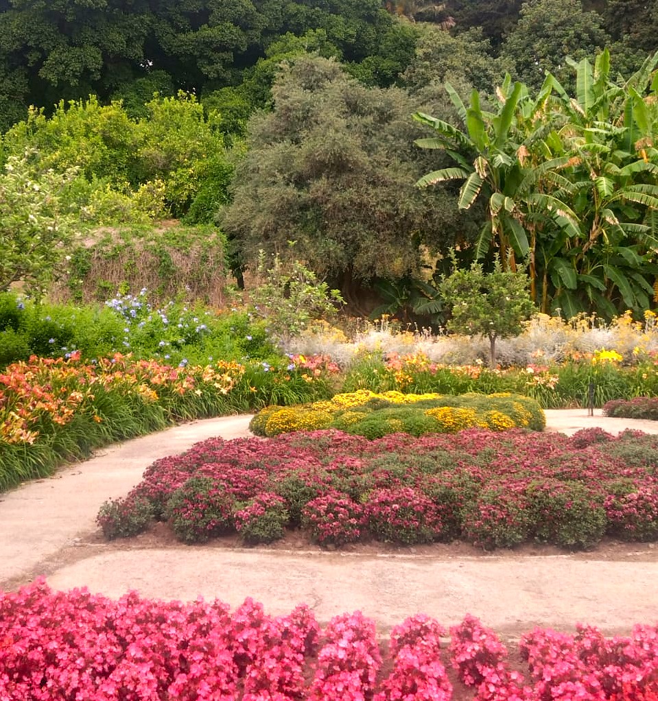 Botanischer Garten in Málaga: Herrliche Blumenpracht soweit das Auge reicht - 11.06.2026