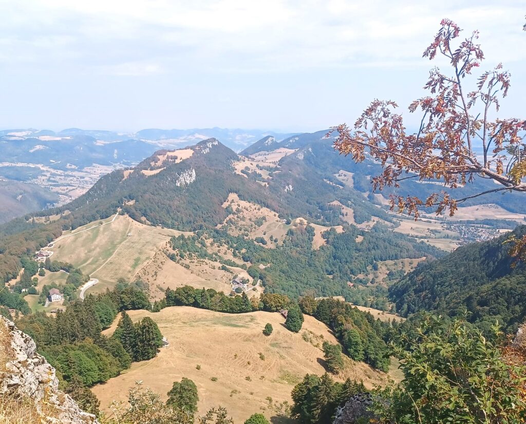 Auf der Röti genossen wir die herrliche Aussicht. - 15.08.2026