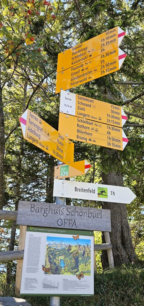 Wir setzen die Wanderung Richtung Dundelegg und Fluonalp fort mit Vorfreude auf das offene Bärghuis.